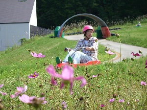 �n��`�A�O�A�O�I